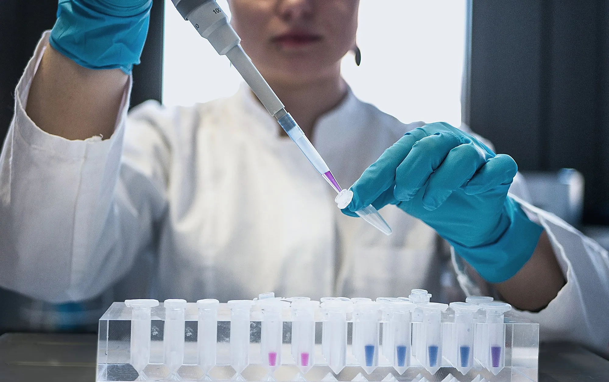 A laboratory technician pipetting a sample into a rack of tubes